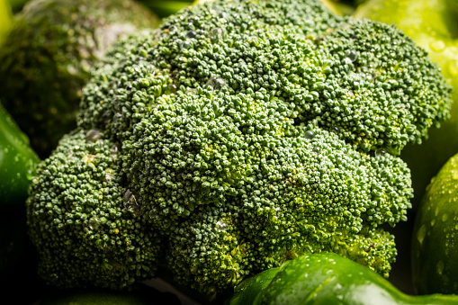 Fresh green raw broccoli ready for cooking