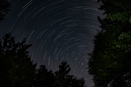 Star trails over forest at night in Canada