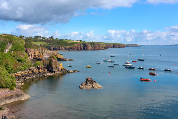 istock Cliffs at the south coast of Ireland 1445476985