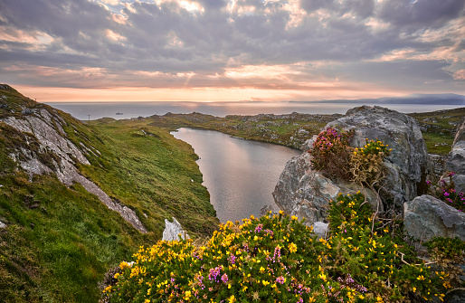 rocky heather landscape at sunset at sheep Head in County Cork,southern Republic of Ireland