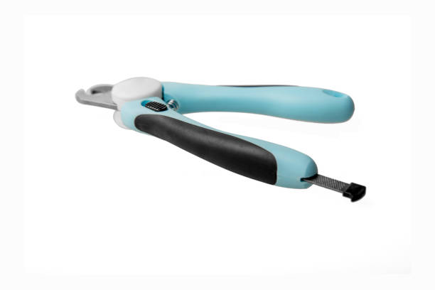 istock Pet nail clippers on white background 1445478755
