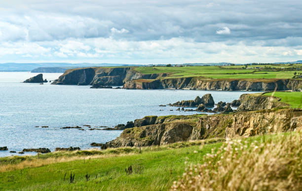 istock Cliffs at the south coast of Ireland 1445479663