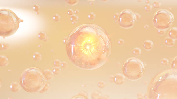 istock Serum and Cream for Moisture Concept 1445480648