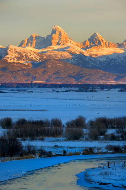 istock Tetons Teton Mountains in Winter Snow and Trees with Reflection in River 1445481547