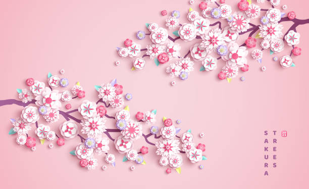 ilustraciones, imágenes clip art, dibujos animados e iconos de stock de rama de sakura cereza cortada en papel rosa - cherry blossom blossom cherry tree sakura