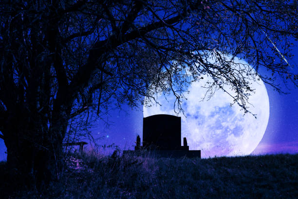 istock Lonely grave with oak tree under starry and Moonlit night. 1445487709