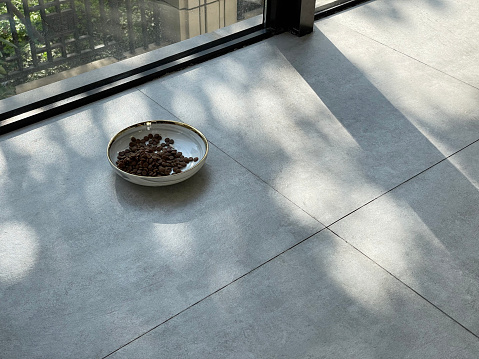 Overlooking a bowl of dog food on a tiled floor