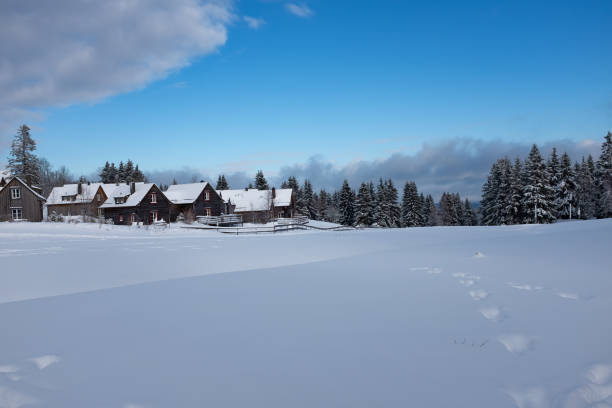 istock The ski resort Torfhaus, Germany 1445488781