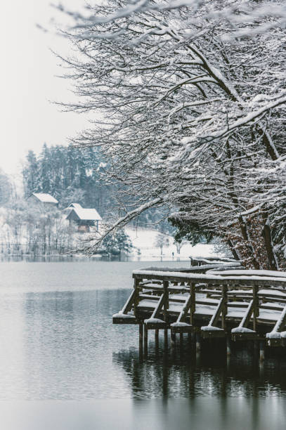 istock wooden path by the lake in winter 1445488968
