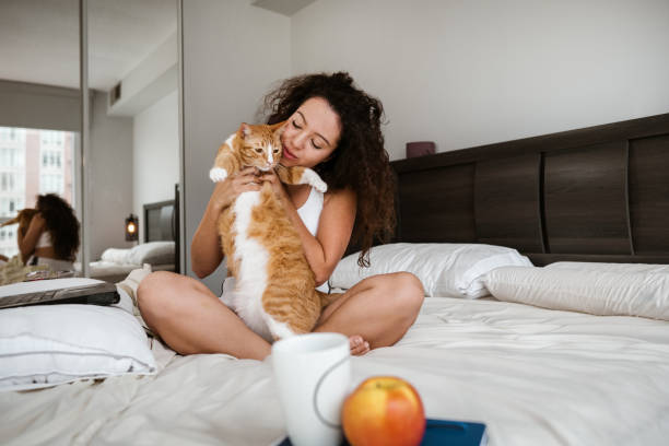 istock Young mixed race woman playing with her cat  in her bedroom 1445492012