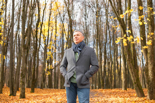 Positive, confident, thoughtful grizzled man in eyeglasses, wear warm clothes with hands in pockets walking in golden park through fallen leaves. Refreshment and rest in woodland. Low angle view