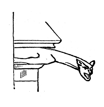 Antique engraving illustration: Gargoyle