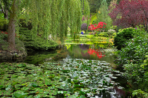 Monet style garden still life