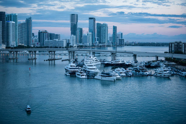 istock Harbor in the early morning 1445502014