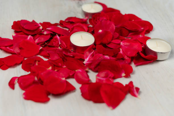 istock Rose petals and scented candles on the floor. 1445503271