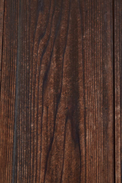 istock A fragment of a hardwood. 1445507388