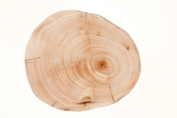 istock old brown rustical wooden texture - wood background 1445507702
