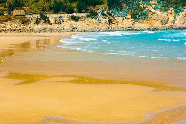 The beach by the sea
