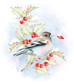 istock Watercolor Winter Bird illustration 1445510032