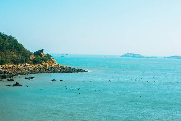 The beach by the sea
