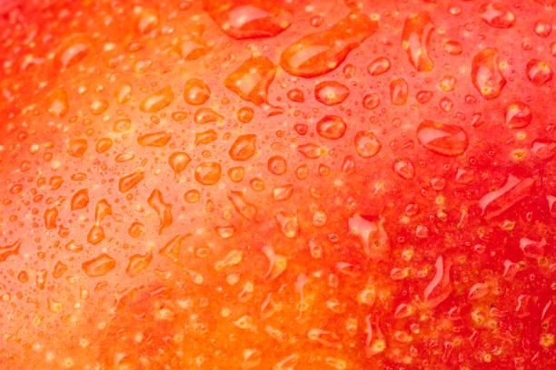 istock Ripe tropics mango fruits skin shot. 1445511127