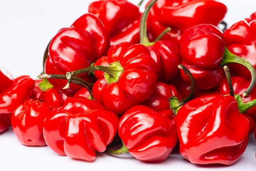 Ornamental Pepper Plants with Purple, Red and Orange Peppers