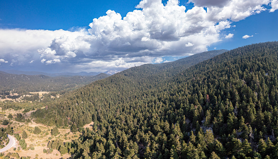 Fir forest landscape Parnassos Mountain panoramic aerial drone view, blue cloudy sky.
