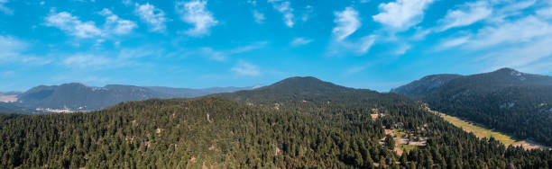 istock Mountain fir forest landscape panorama aerial drone view. 1445521580