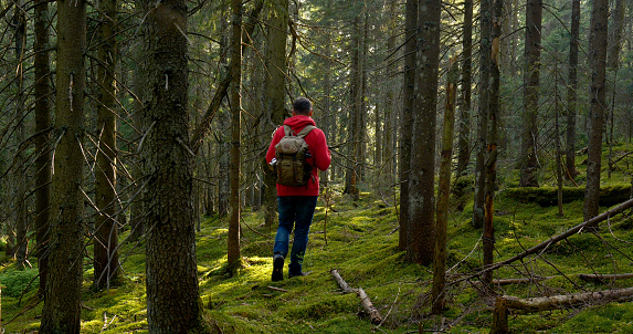 Man in nature. Outdoor travel concept. Tourist guy with a backpack on a hike on an adventure trip in a beautiful forest