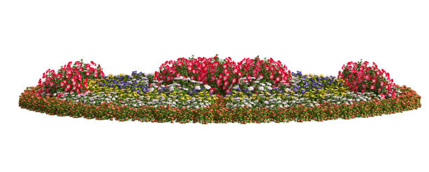 istock 3d illustration of circle flower park isolated on white background 1445525980