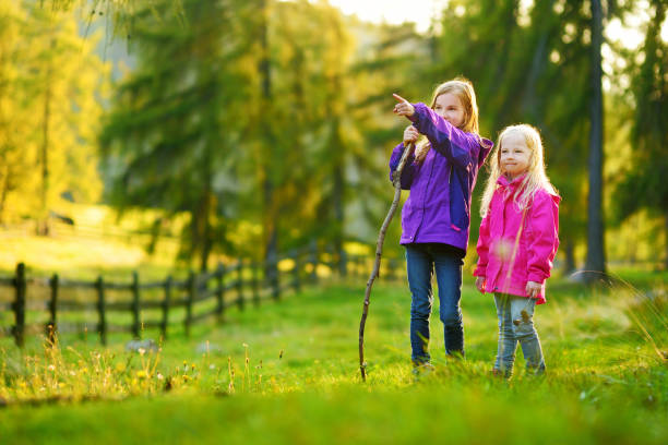 deux mignonnes petites filles mignonnes s’amusant lors d’une randonnée en forêt lors d’une belle journée d’automne dans les alpes italiennes - footpath european alps fence woods photos et images de collection