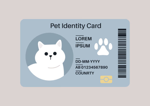 illustrations, cliparts, dessins animés et icônes de une carte d’identité en plastique pour animal de compagnie, un document de voyage et un document médical - id card