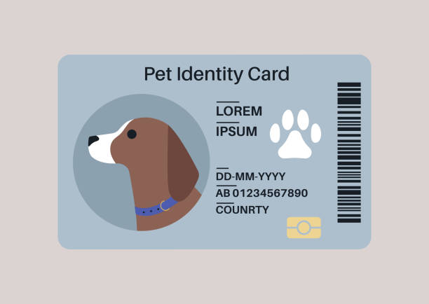 illustrations, cliparts, dessins animés et icônes de une carte d’identité en plastique pour animal de compagnie, un document de voyage et un document médical - id card