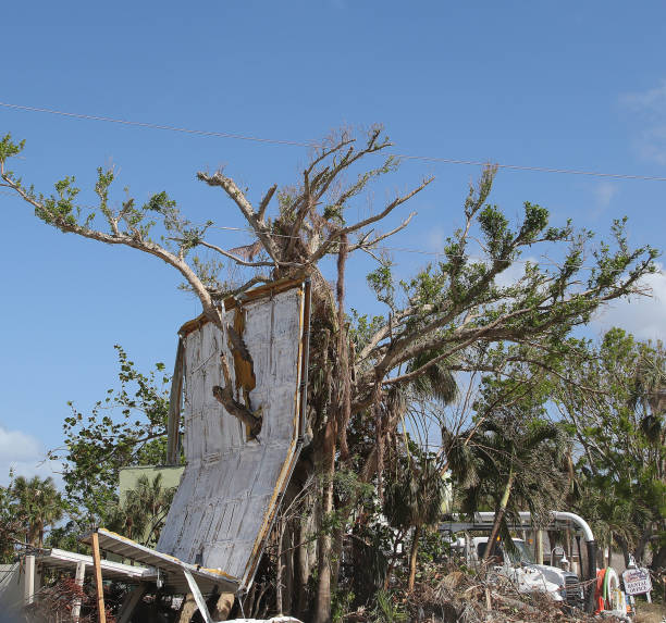 istock Hurricane Ian - Path of Destruction 1445530527