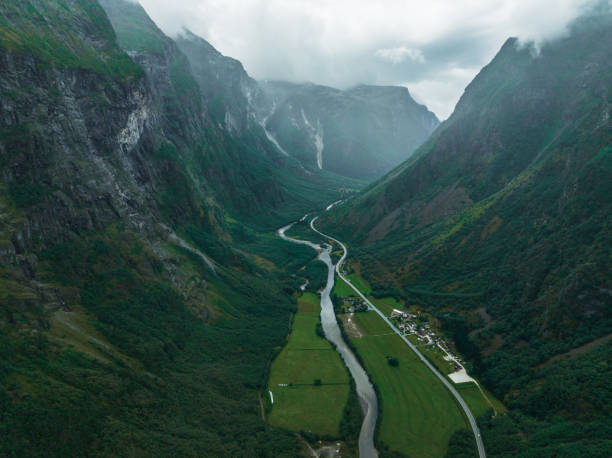 Free picture: Mountain river in valley with grass plants in summer seson