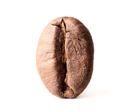 Macro  image of coffee bean isolated on white background