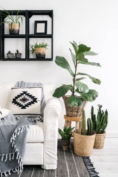 istock Plaid and decorative cushions on white couch, close to potted plants 1445531592