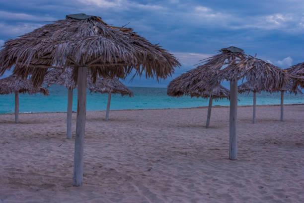 istock Beach and sky before hurricane in Cuba 1445532584