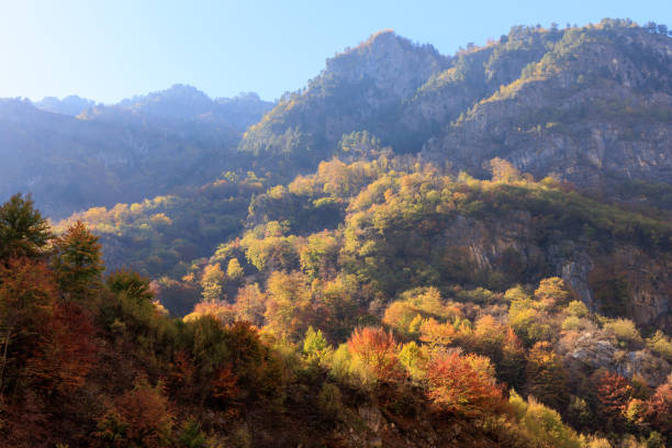 istock Albanian Alps in autumn 1445533944