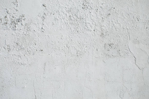 istock grey textured surface of old cement. vintage background for graphic resource 1445535296