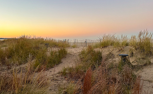 Grasses on the beach of Lake Michigan at sunset