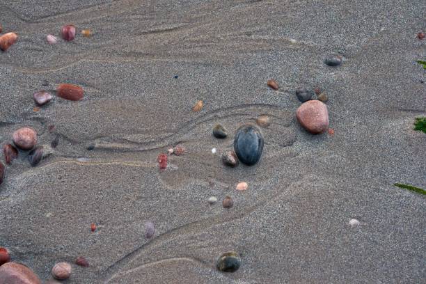 istock different colored stones and pebbles on the beach 1445539988