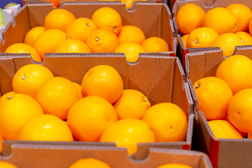 Lots of fresh ripe oranges in boxes. Trade, supermarket, business