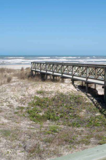 istock deck photography on the beach 1445545444