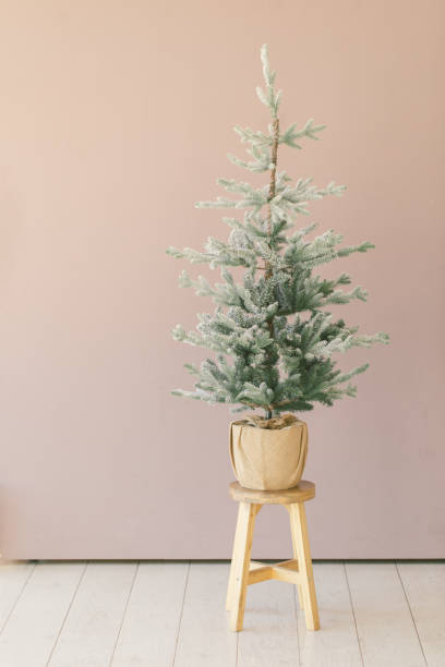 istock Small christmas tree sitting on top of stool in a minimal room 1445546218