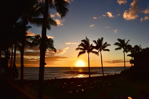Sun sets against the backdrop of the ocean and palm trees in Kauai, Hawaii