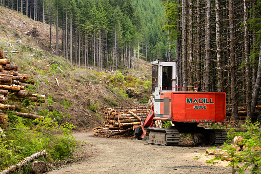 Lake Cowichan, BC Canada - July 3, 2022: Logging on McLure Main Road, Caycuse, near Lake Cowichan, Vancouver Island, BC Canada