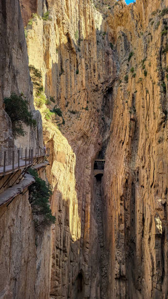 istock Royal Trail Also Known as El Caminito Del Rey - Mountain Path Along Steep Cliffs in Gorge Chorro, Andalusia, Spain 1445554104
