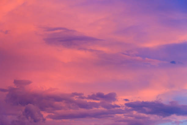 istock Beautiful pink sunset sky. Natural background 1445554689