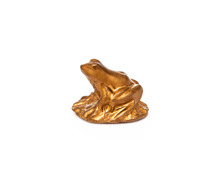 Golden frog isolated on the white background